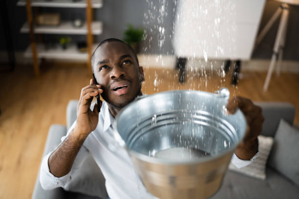 Best Ceiling water damage repair  in Brookside Village, TX