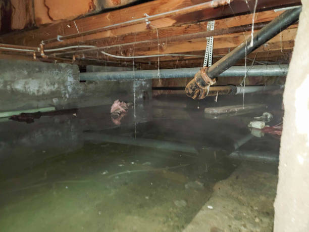 Best Basement water damage restoration  in Brookside Village, TX