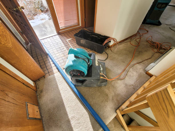 Best Carpet water damage restoration  in Brookside Village, TX