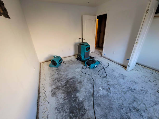 Best Water damage contractors near me  in Brookside Village, TX