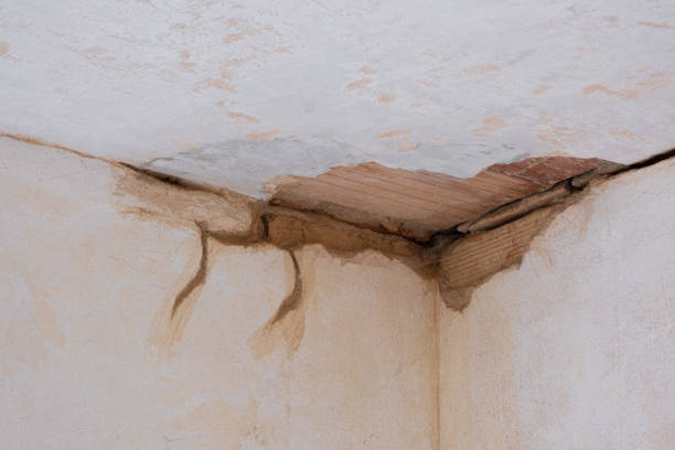 Best Water damage cleanup near me  in Brookside Village, TX