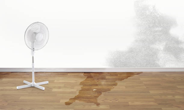 Best 24-hour water damage restoration  in Brookside Village, TX