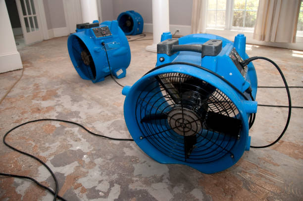 Best Emergency water damage restoration  in Brookside Village, TX