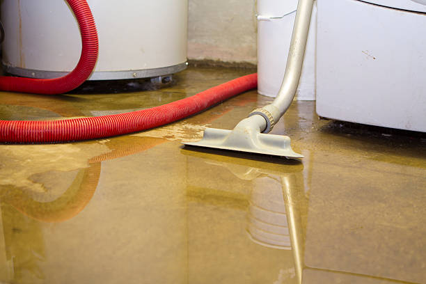 Best Sewage cleanup and water damage restoration  in Brookside Village, TX