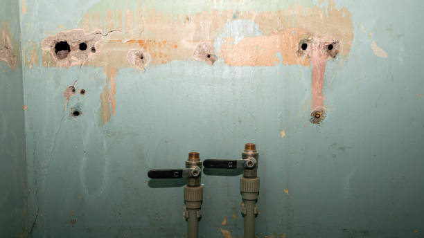 Best Local water damage restoration  in Brookside Village, TX